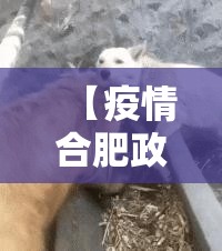 【疫情合肥政府点赞 沈阳的话/疫情合肥政府点赞 沈阳的话语】