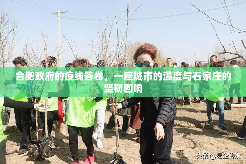 合肥政府的疫线答卷，一座城市的温度与石家庄的坚韧回响