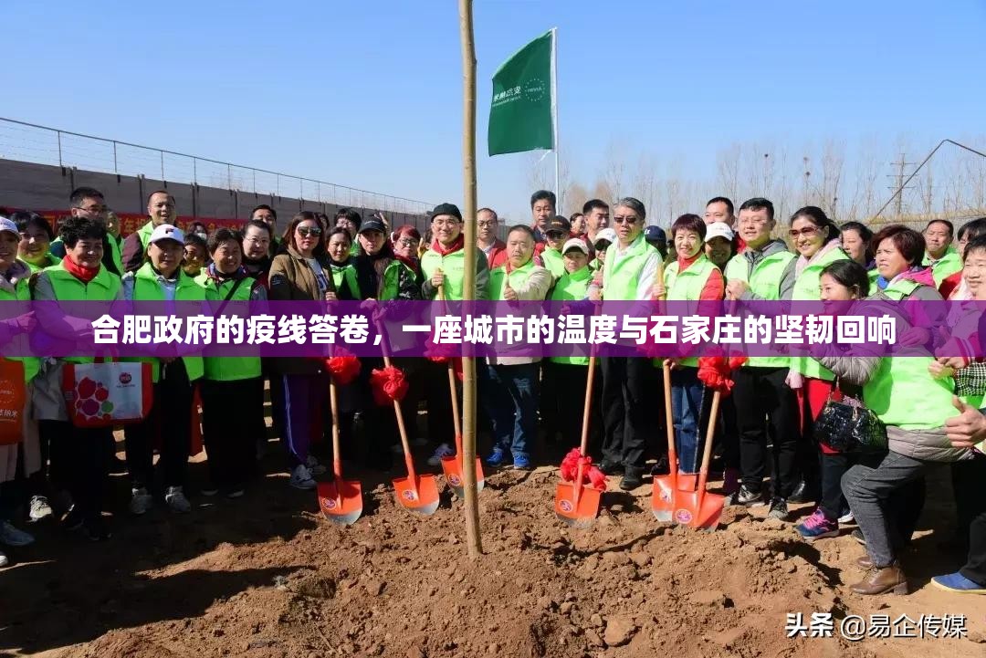 合肥政府的疫线答卷，一座城市的温度与石家庄的坚韧回响