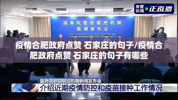 疫情合肥政府点赞 石家庄的句子/疫情合肥政府点赞 石家庄的句子有哪些