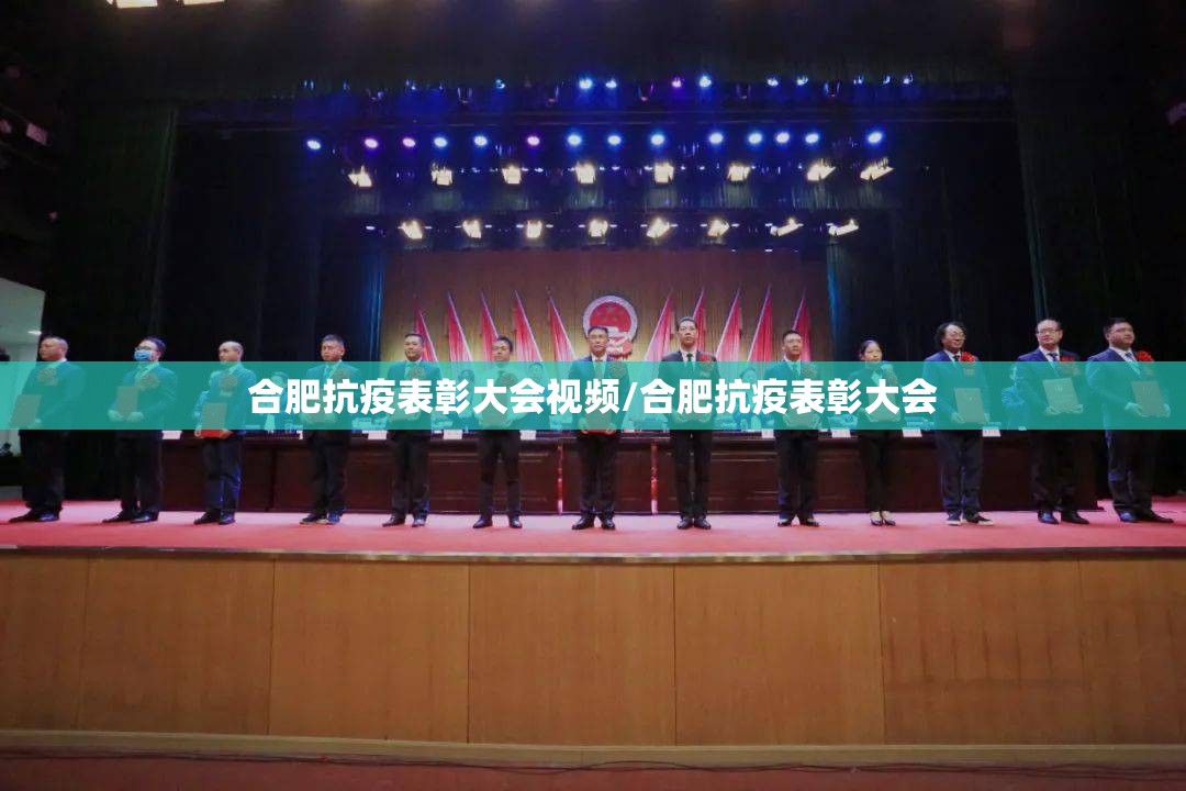 合肥抗疫表彰大会视频/合肥抗疫表彰大会