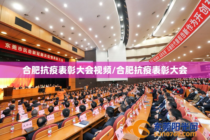 合肥抗疫表彰大会视频/合肥抗疫表彰大会