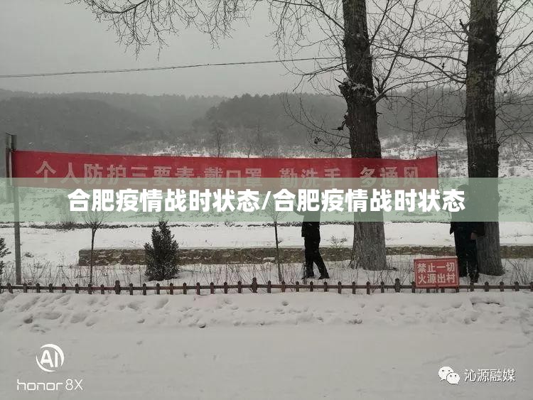 合肥疫情战时状态/合肥疫情战时状态