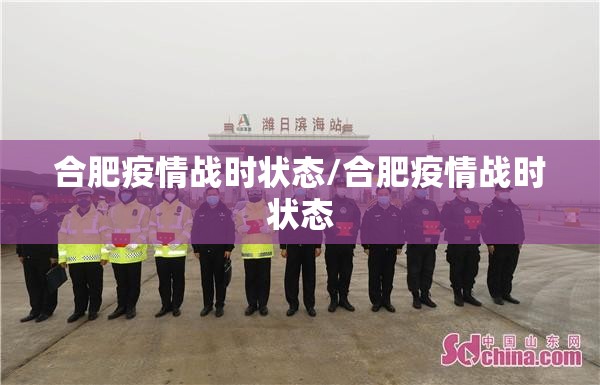 合肥疫情战时状态/合肥疫情战时状态