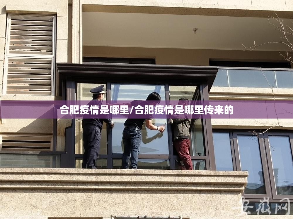 合肥疫情是哪里/合肥疫情是哪里传来的