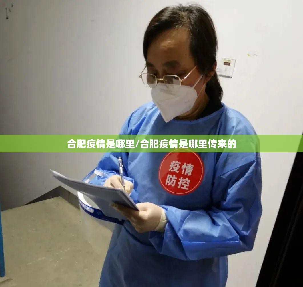 合肥疫情是哪里/合肥疫情是哪里传来的