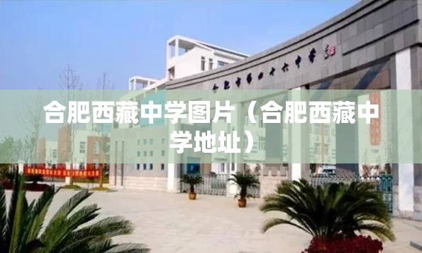 合肥西藏中学图片（合肥西藏中学地址）