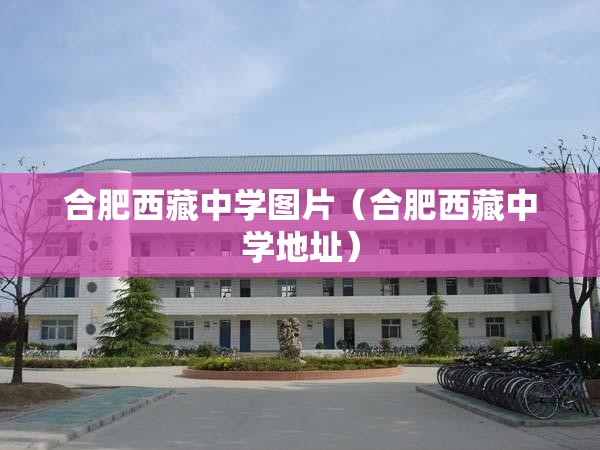 合肥西藏中学图片（合肥西藏中学地址）