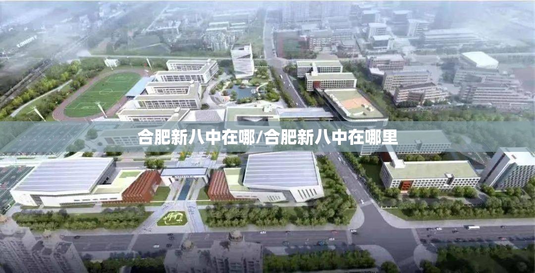合肥新八中在哪/合肥新八中在哪里