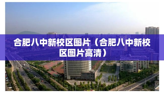 合肥八中新校区图片（合肥八中新校区图片高清）