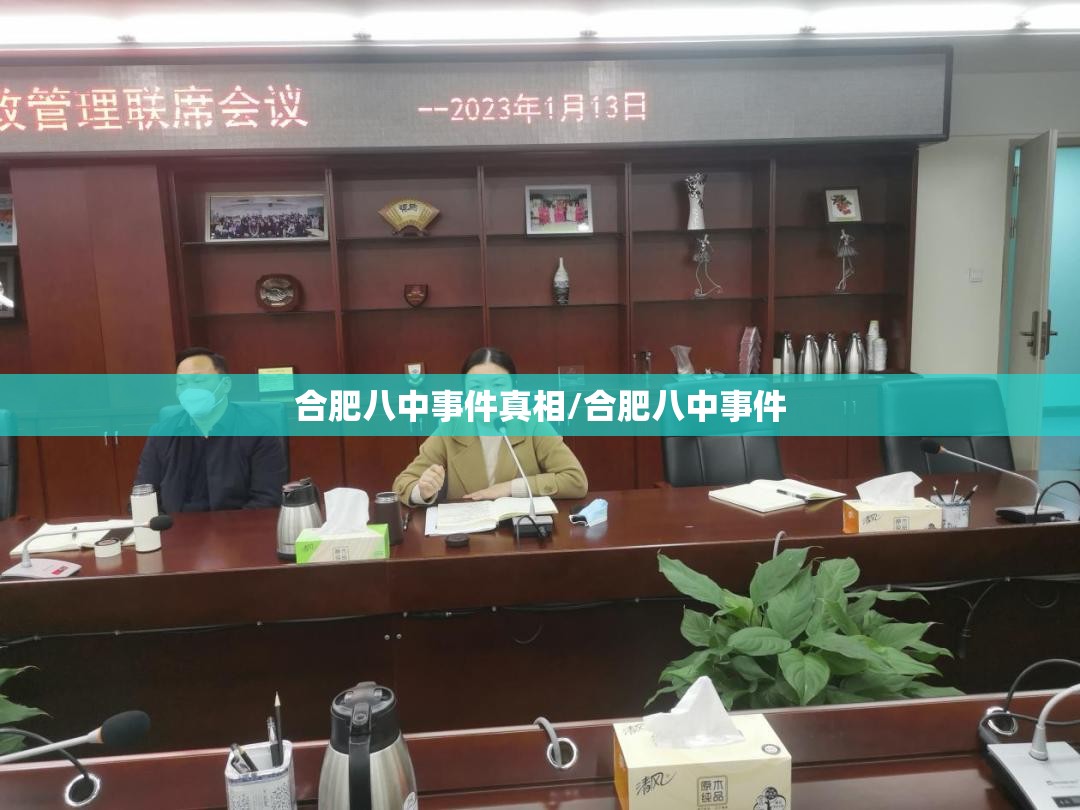 合肥八中事件真相/合肥八中事件