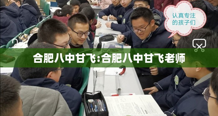 合肥八中甘飞:合肥八中甘飞老师