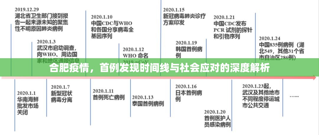 合肥疫情，首例发现时间线与社会应对的深度解析