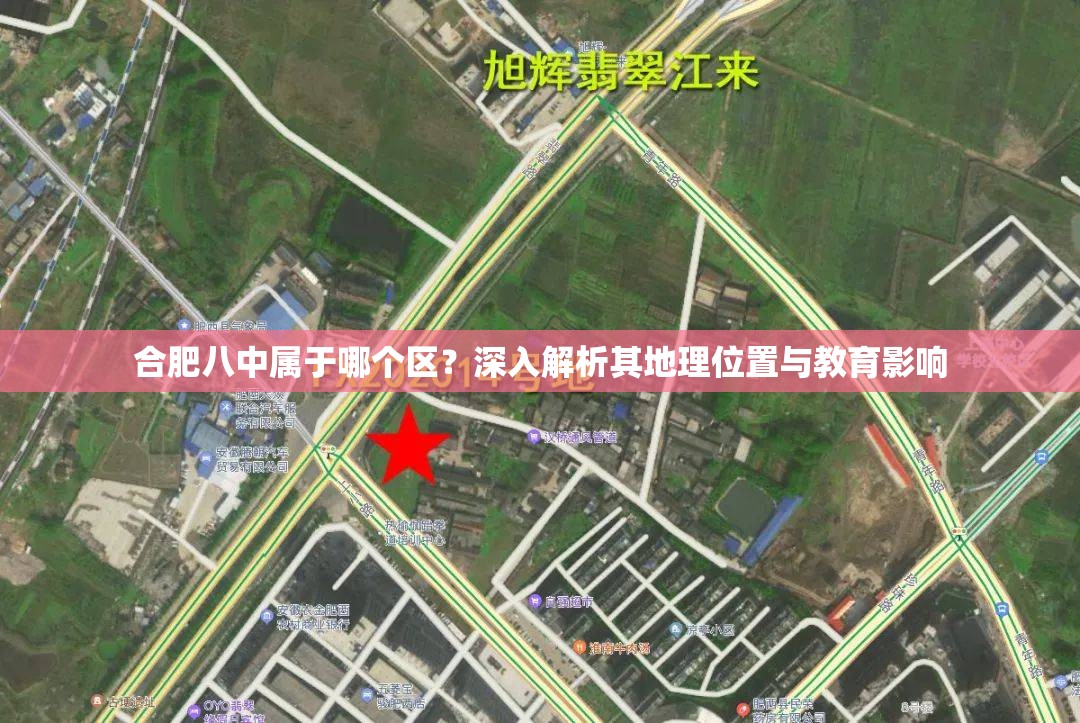 合肥八中属于哪个区？深入解析其地理位置与教育影响