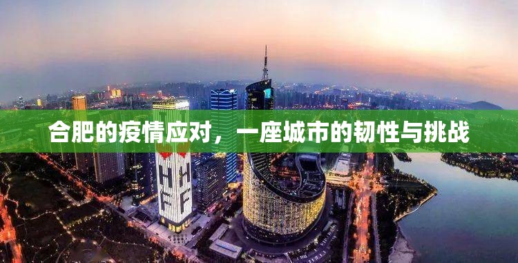 合肥的疫情应对，一座城市的韧性与挑战