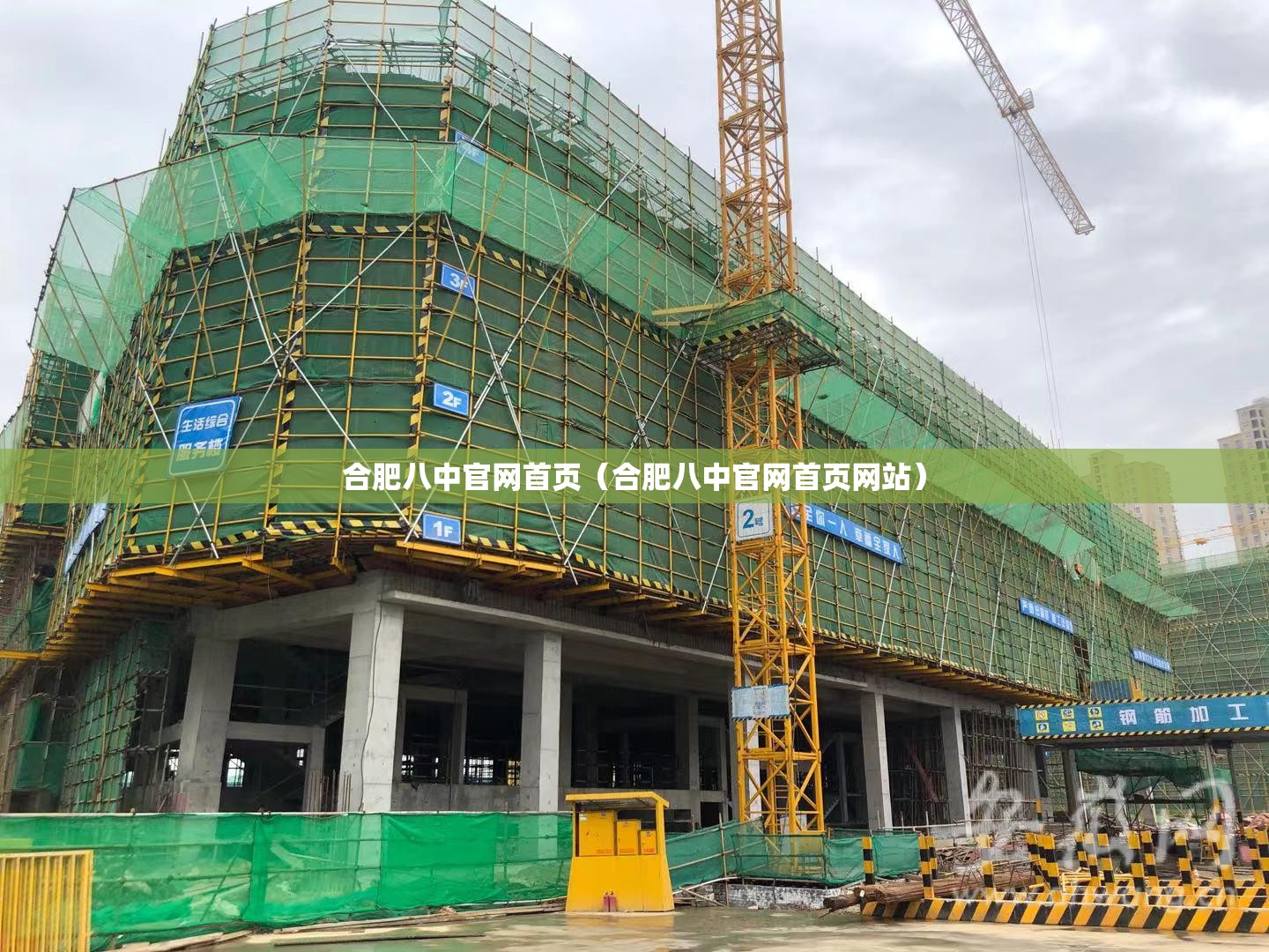 合肥八中官网首页（合肥八中官网首页网站）