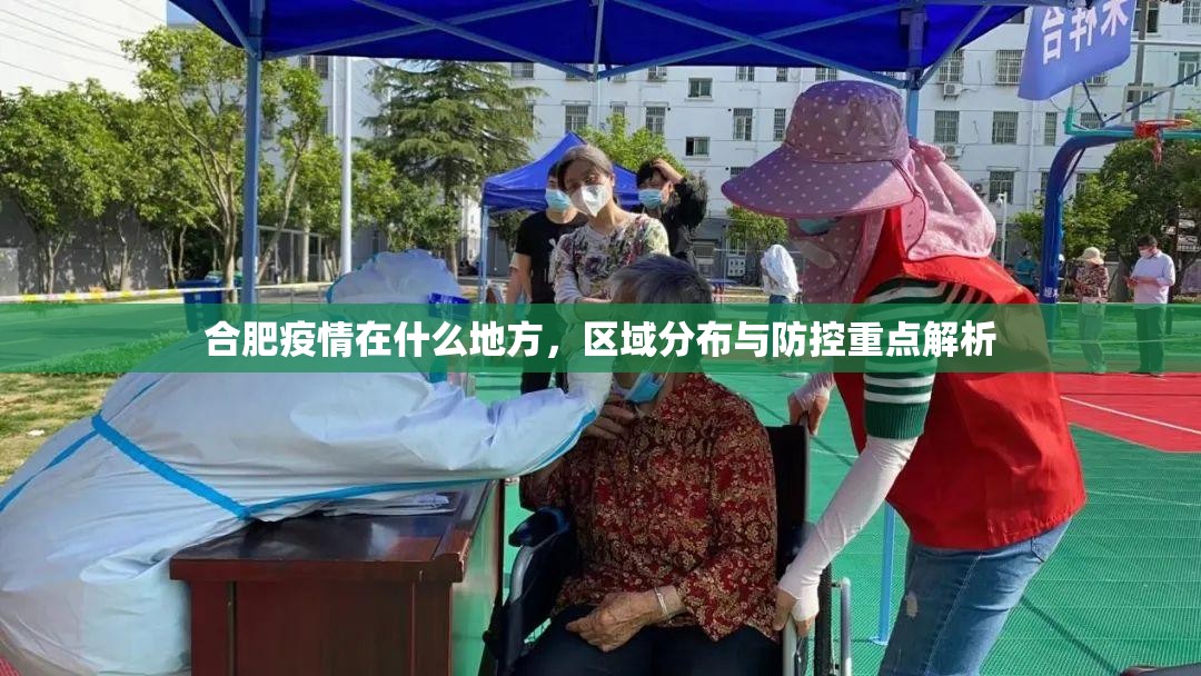 合肥疫情在什么地方，区域分布与防控重点解析