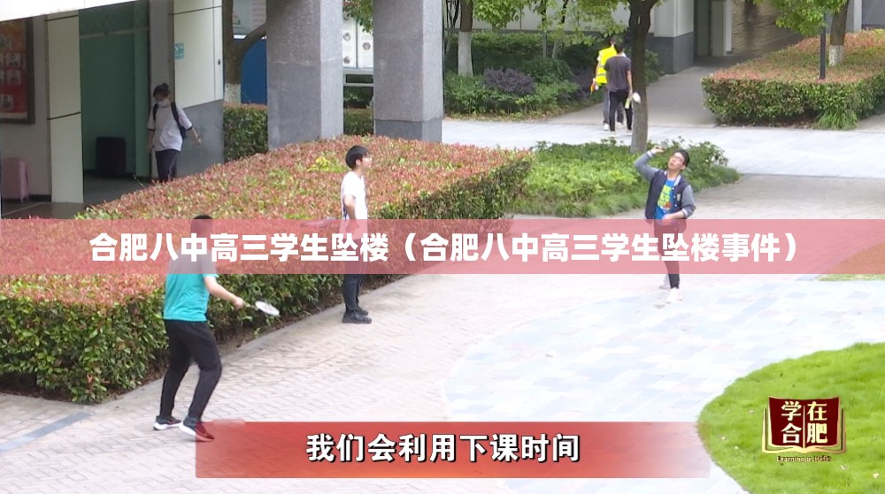 合肥八中高三学生坠楼（合肥八中高三学生坠楼事件）