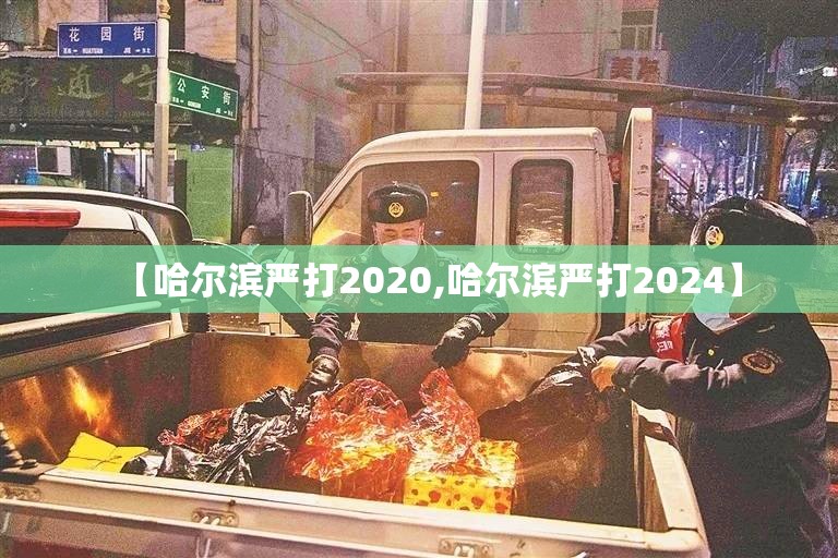 【哈尔滨严打2020,哈尔滨严打2024】