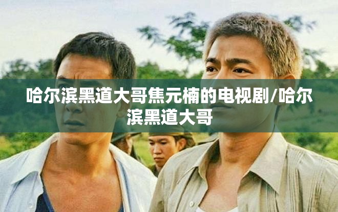 哈尔滨黑道大哥焦元楠的电视剧/哈尔滨黑道大哥