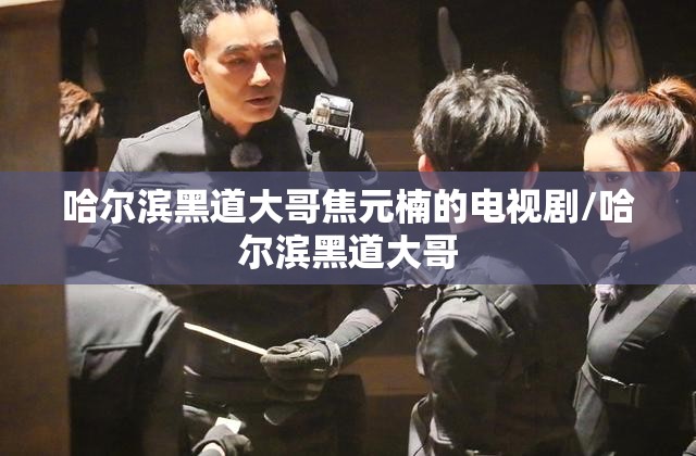 哈尔滨黑道大哥焦元楠的电视剧/哈尔滨黑道大哥