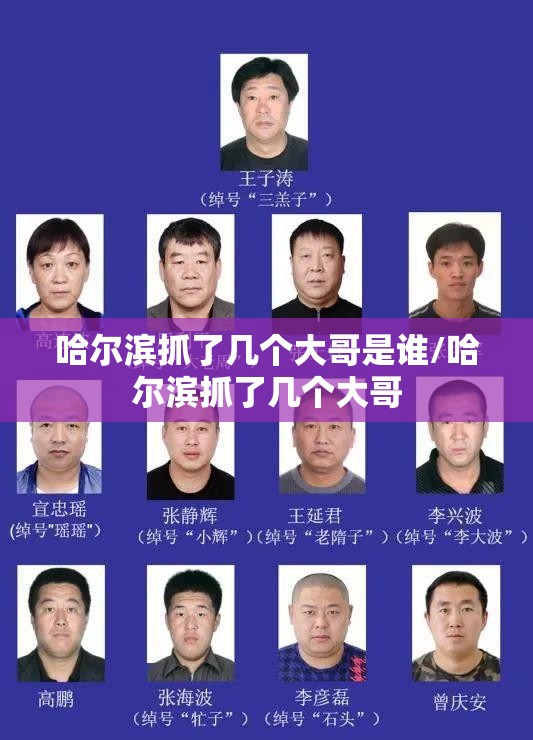 哈尔滨抓了几个大哥是谁/哈尔滨抓了几个大哥