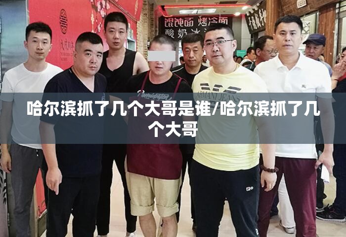 哈尔滨抓了几个大哥是谁/哈尔滨抓了几个大哥