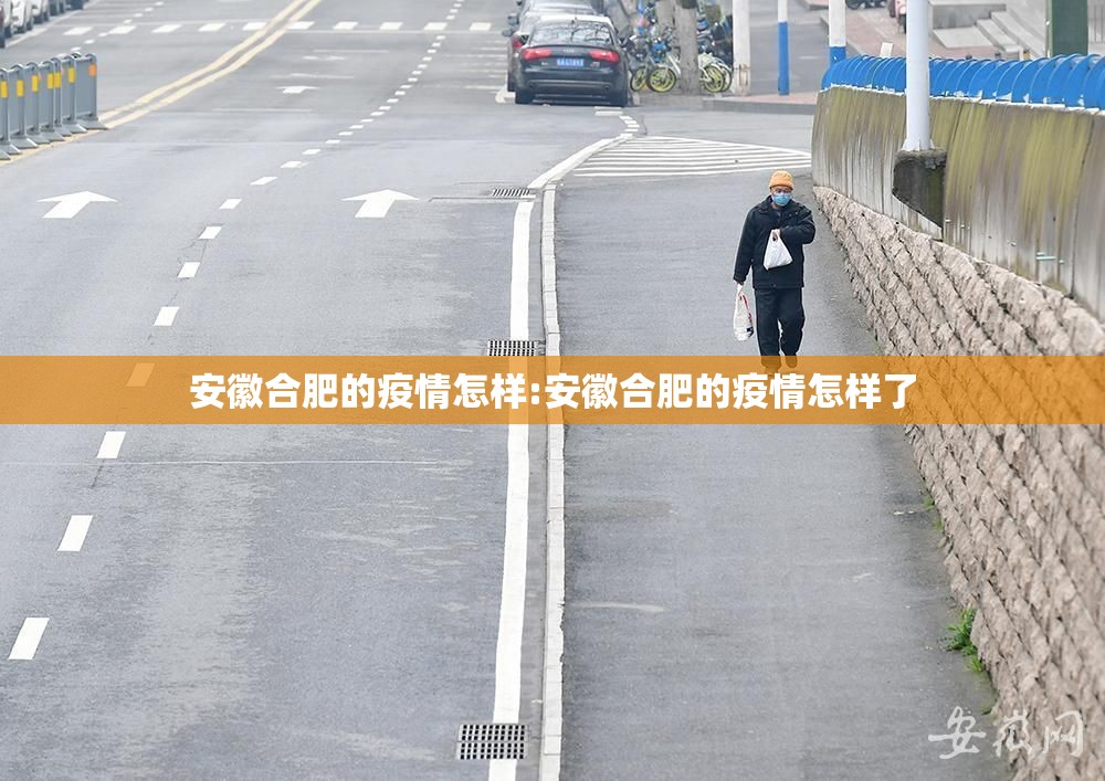 安徽合肥的疫情怎样:安徽合肥的疫情怎样了