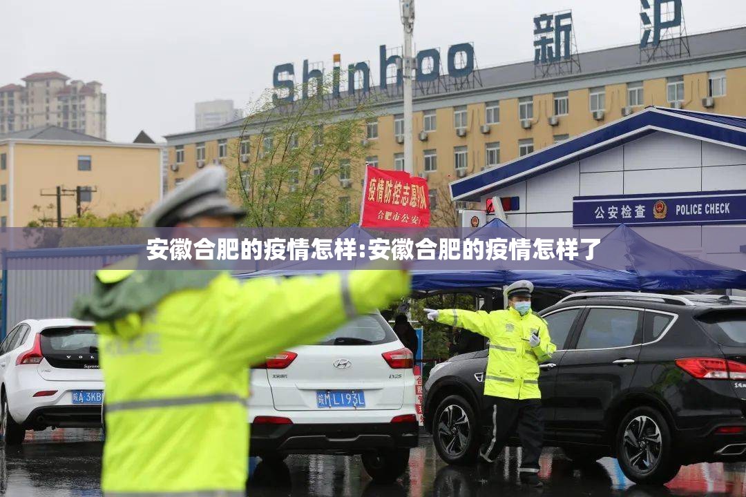 安徽合肥的疫情怎样:安徽合肥的疫情怎样了