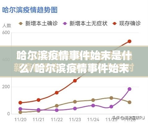 哈尔滨疫情事件始末是什么/哈尔滨疫情事件始末