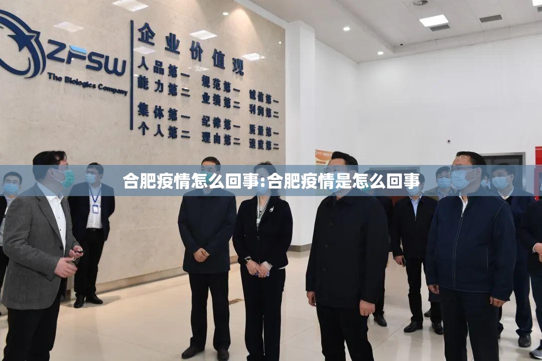 合肥疫情怎么回事:合肥疫情是怎么回事