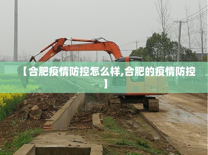 【合肥疫情防控怎么样,合肥的疫情防控】