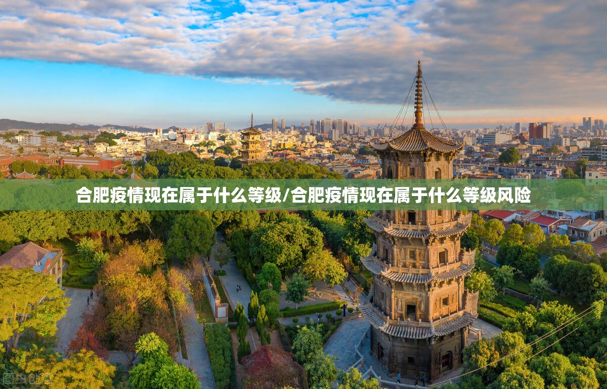 合肥疫情现在属于什么等级/合肥疫情现在属于什么等级风险