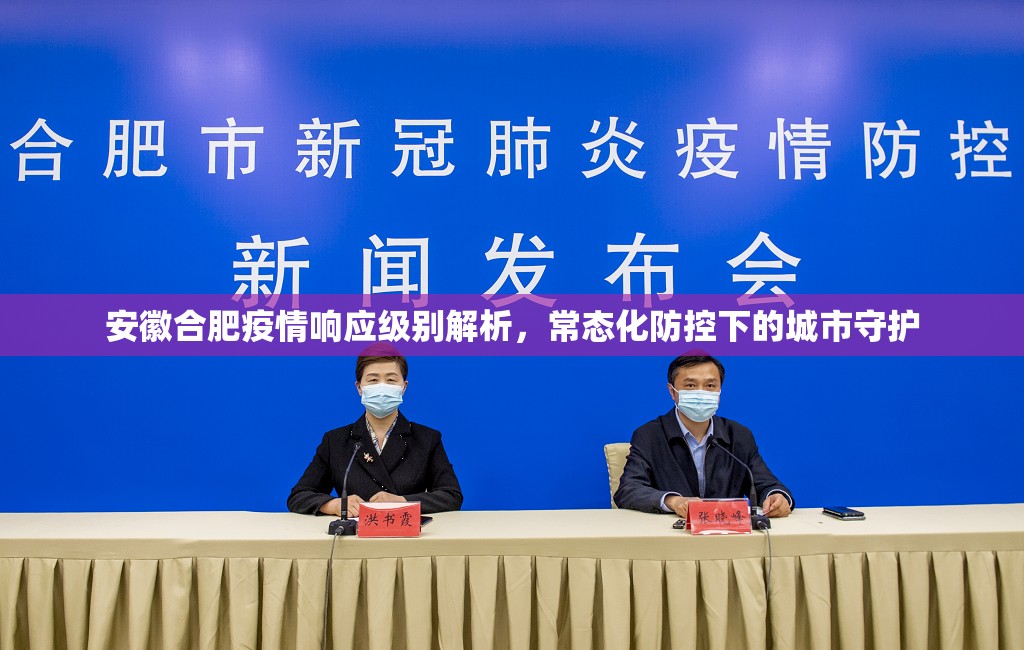 安徽合肥疫情响应级别解析，常态化防控下的城市守护