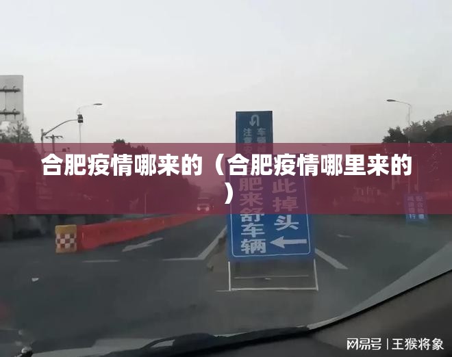 合肥疫情哪来的（合肥疫情哪里来的）
