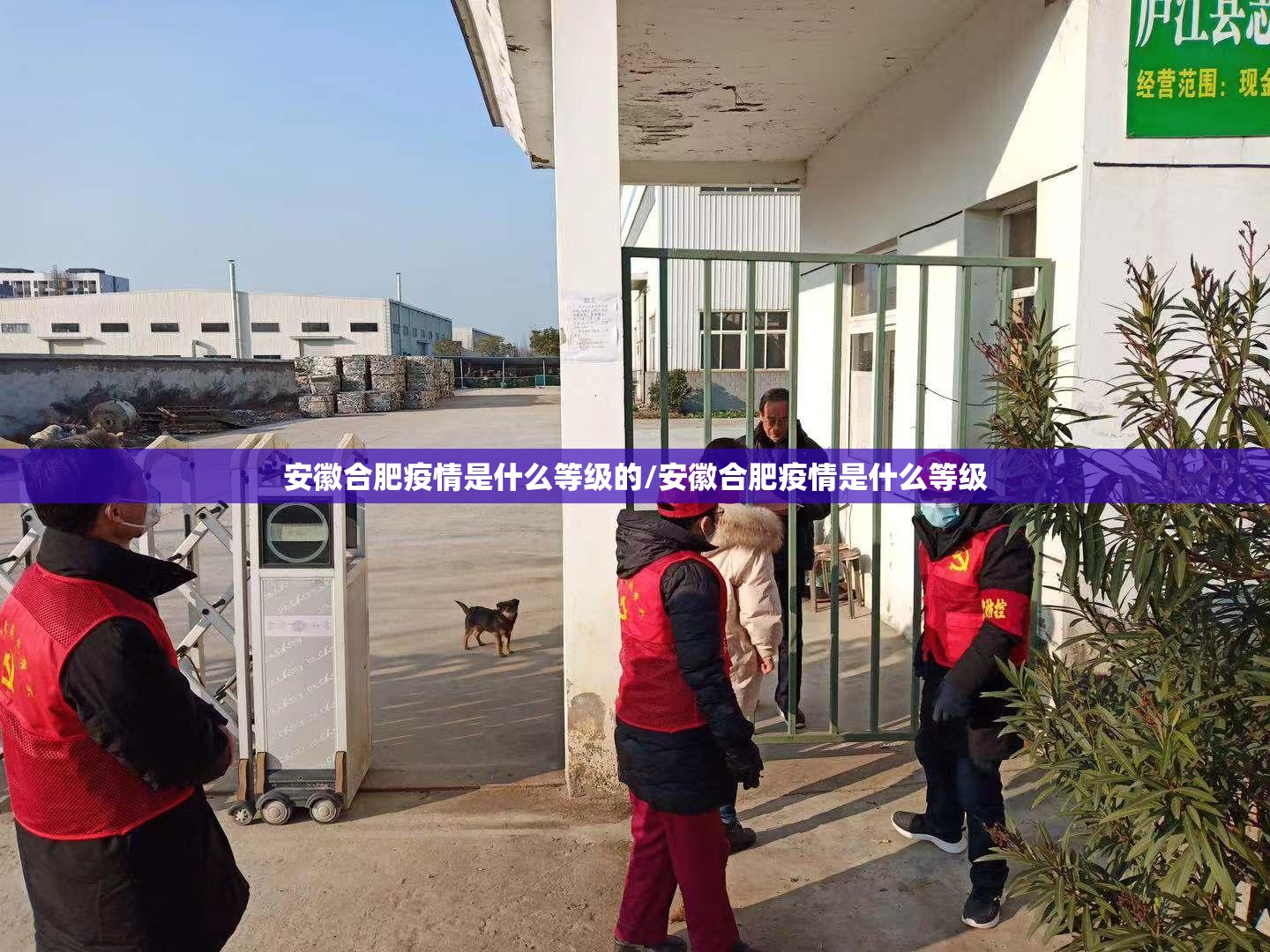 安徽合肥疫情是什么等级的/安徽合肥疫情是什么等级