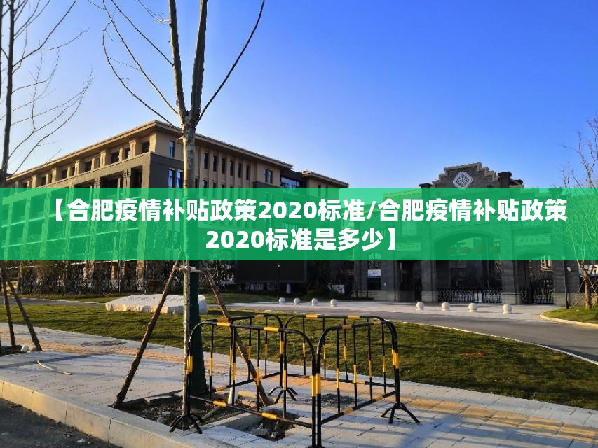 【合肥疫情补贴政策2020标准/合肥疫情补贴政策2020标准是多少】