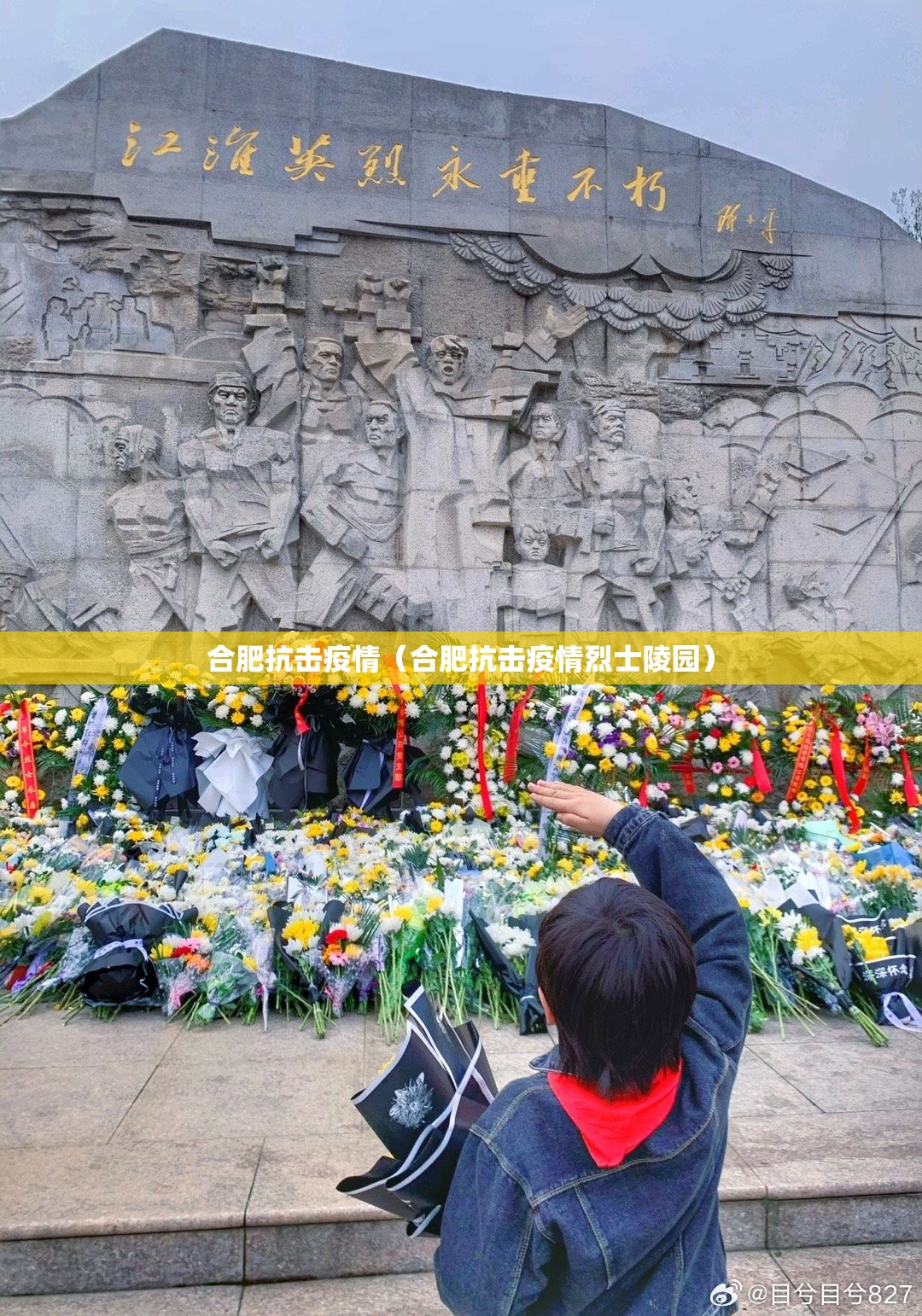 合肥抗击疫情（合肥抗击疫情烈士陵园）