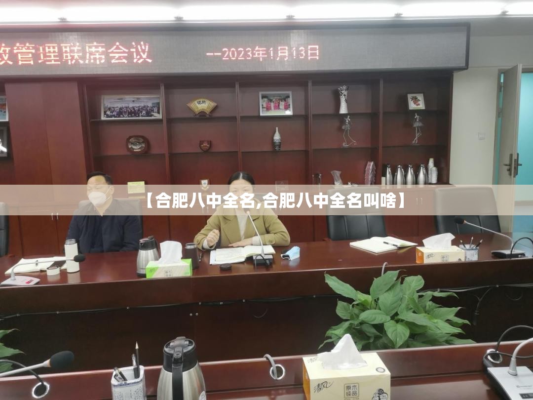 【合肥八中全名,合肥八中全名叫啥】