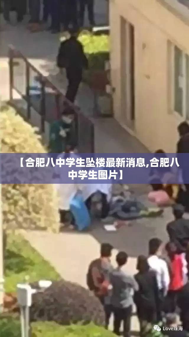 【合肥八中学生坠楼最新消息,合肥八中学生图片】