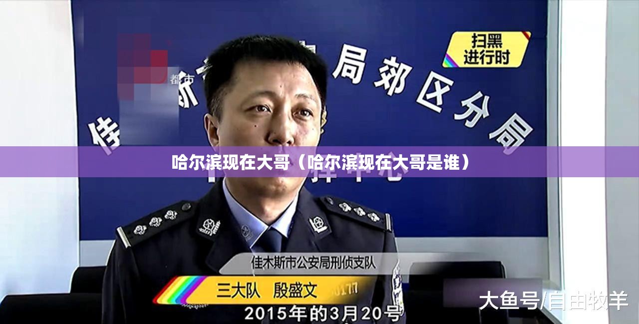 哈尔滨现在大哥（哈尔滨现在大哥是谁）