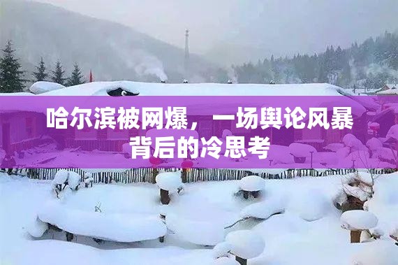 哈尔滨被网爆，一场舆论风暴背后的冷思考