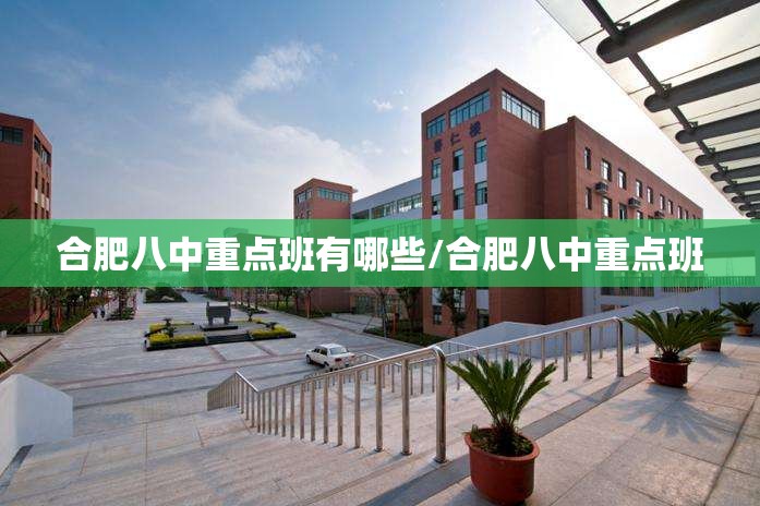 合肥八中重点班有哪些/合肥八中重点班