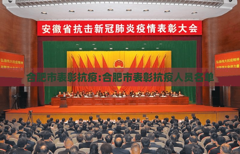 合肥市表彰抗疫:合肥市表彰抗疫人员名单