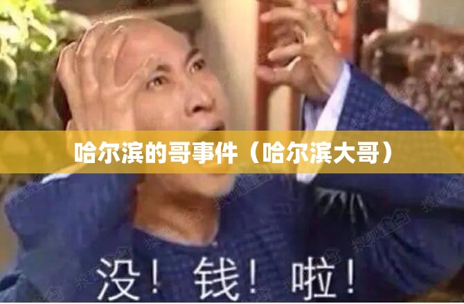 哈尔滨的哥事件（哈尔滨大哥）