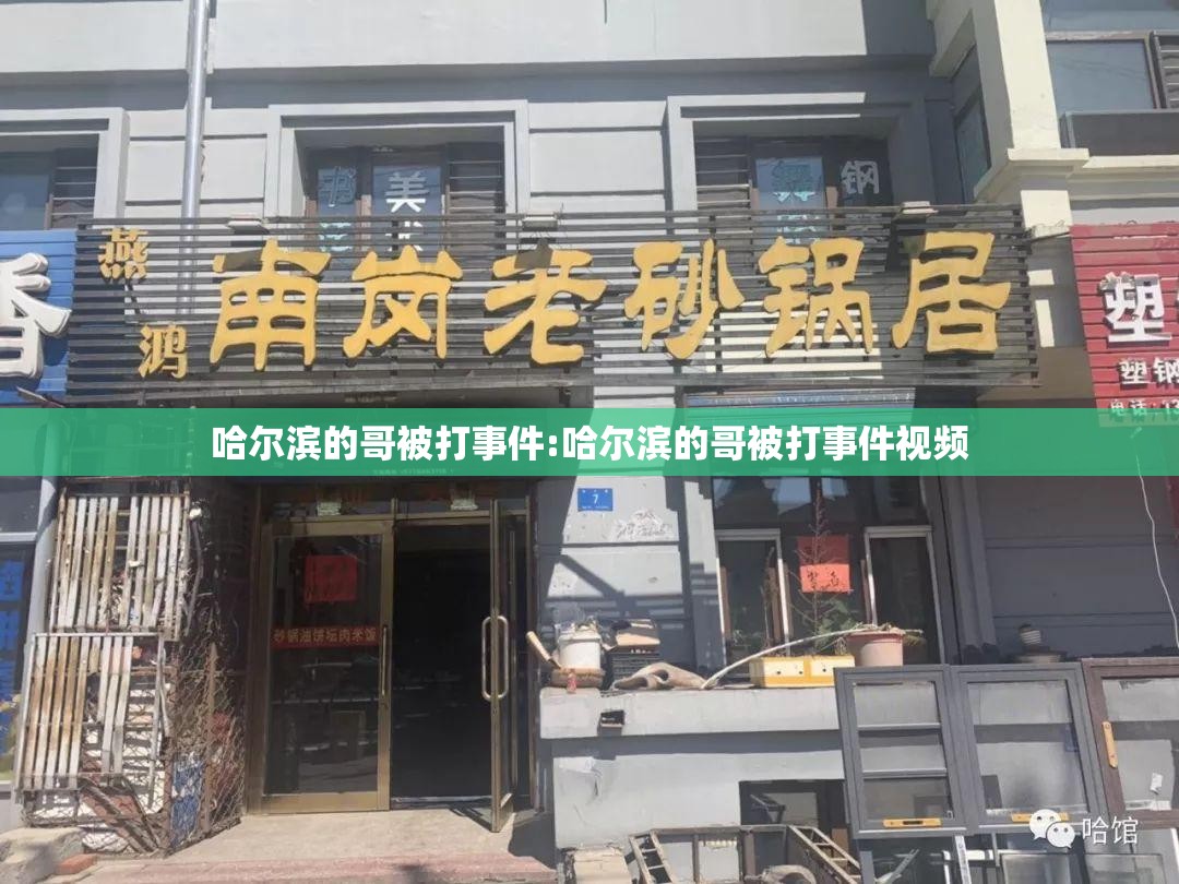 哈尔滨的哥被打事件:哈尔滨的哥被打事件视频