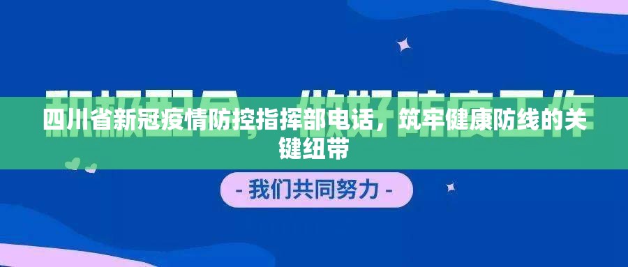 四川省新冠疫情防控指挥部电话，筑牢健康防线的关键纽带