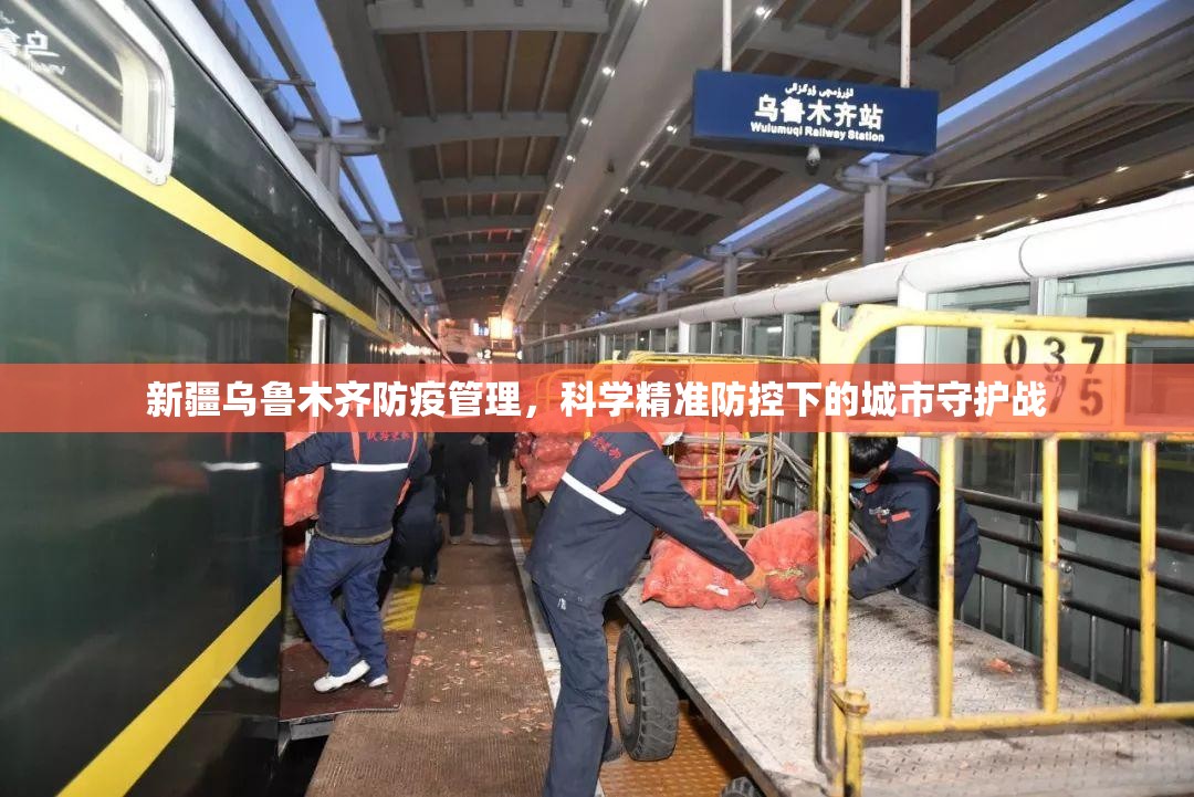 新疆乌鲁木齐防疫管理，科学精准防控下的城市守护战