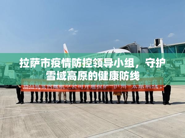 拉萨市疫情防控领导小组，守护雪域高原的健康防线