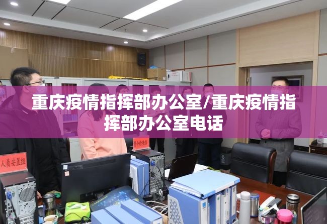重庆疫情指挥部办公室/重庆疫情指挥部办公室电话